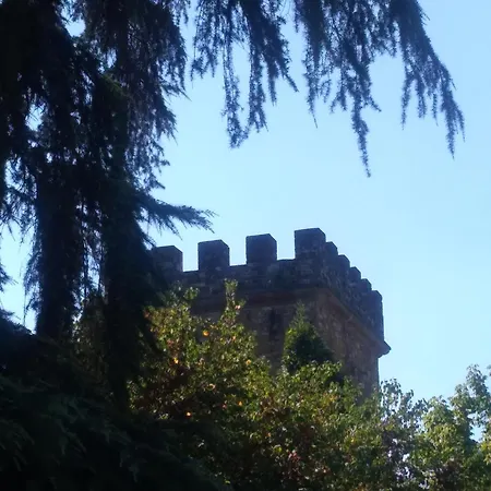 Movie Star With Garden Apartment Florenz