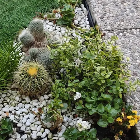 Apartment Movie Star With Garden Florenz