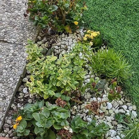 Apartment Movie Star With Garden Florenz