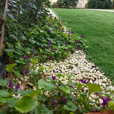 Movie Star With Garden *